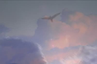A bird crossing high, soft clouds